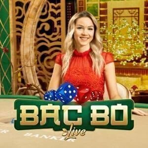 Spinmacho Bonus Offers and Spinmacho Slots Tournaments Revealed Worldwide - overview