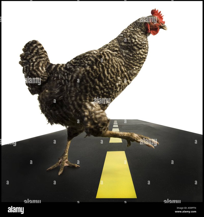 Een Kijkje naar Chicken Road, het Populaire Gokspel in Nederland - overview